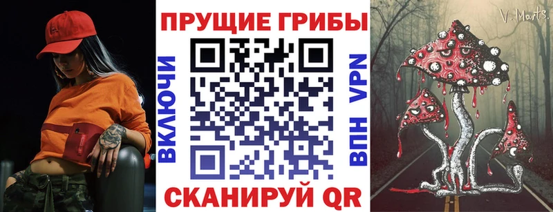 Псилоцибиновые грибы Psilocybine cubensis  цены   Орехово-Зуево 